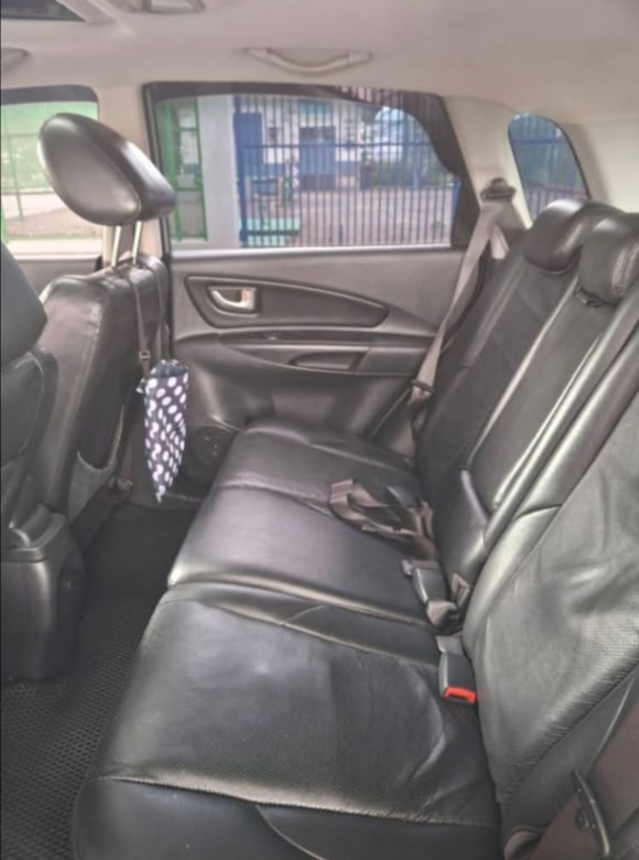 2009 Hyundai Tucson Limited vista 5