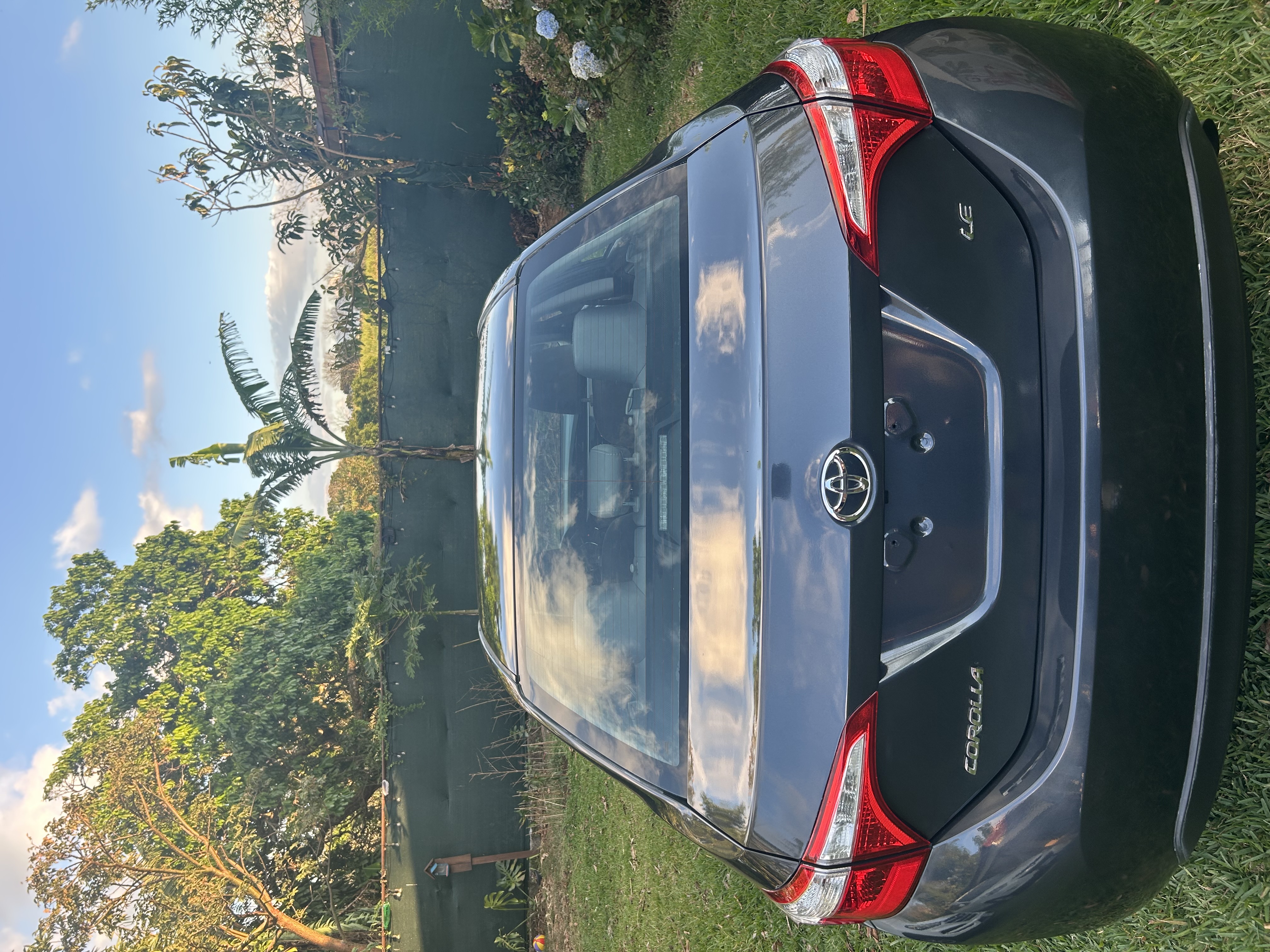 2015 Toyota Corolla vista 2